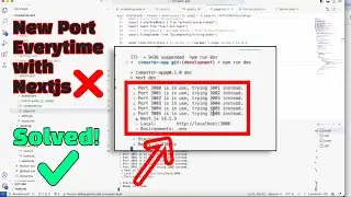 Use the same port number when running Nextjs/Reactjs project - Solved different port numbers