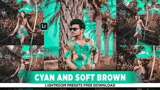 Lightroom Mobile Presets Free DNG | Lightroom Mobile Cyan And Brown Presets | Free Lightroom Presets