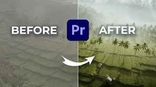 2024 Premiere Pro Color Grading Workflow