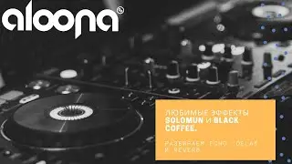 Любимые эффекты Solomun и Black Coffee. Разбираем Echo, Delay и Reverb