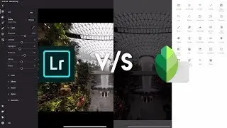 Snapseed vs Lightroom | What should you use?