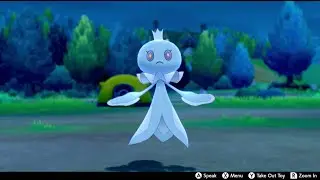 Frillish (Male) In Camp - Pokemon Sword & Shield