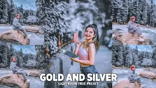 Gold Silver Moody Preset - Lightroom Mobile Preset | Urban Dark Preset | Preset Dng | Free Preset |