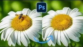 Fill Vs Content-Aware Fill - Short Photoshop Tutorial