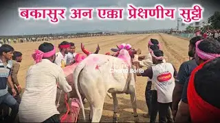 बकासुर अन एक्का प्रेक्षणीय सुट्टी | #bailgadisharyat