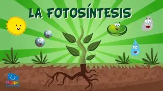 LA FOTOSÍNTESIS | Vídeos Educativos para Niños