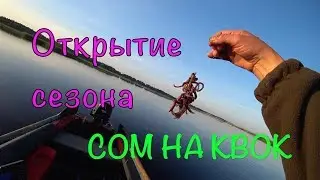 Сом на квок. Открытие сезона 2018.