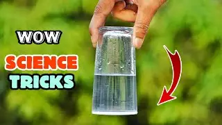 Incredible Science Experiments & Activities at Home