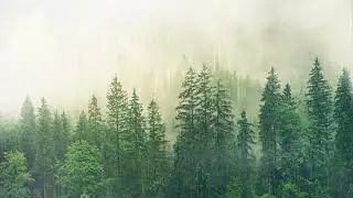 Ploaie de toamna cu tunete - sunete din natura - sunete de relaxare