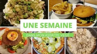 Une SEMAINE dans mon ASSIETTE VÉGÉTARIENNE  | LUNDI VERT n°215