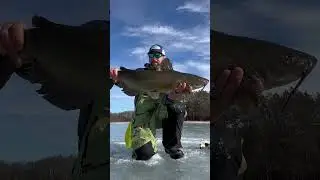 Have You Ever Caught a Catfish Through the ICE?