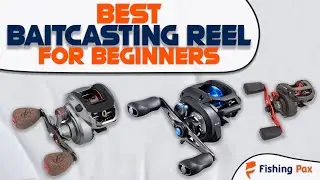 Best Baitcasting Reel For Beginners (New Anglers Start Here!)