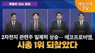 [특별한 이슈 점검] 스치면 상한가/ 상한가/ 특별한 이슈 점검/ 백인엽 MBN골드매니저/ 조범수 MBN골드매니저/ 김병진 MBN골드매니저/ 매일경제TV