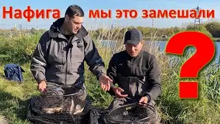 Очередной батл. Кто же  эти рыбы, кошки или собаки?