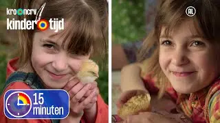 Top 2: Sien van Sellingen ☆ Eieren & Kuikens en Lezen & Muffins | 15 minuten | Kindertijd KRO-NCRV