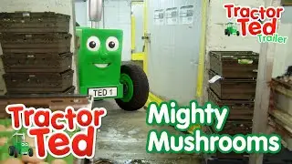 Mighty Mushrooms 🍄 | New Tractor Ted Trailer | Tractor Ted Official Channel