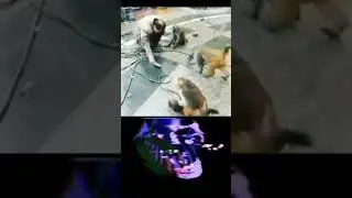 omg😲 