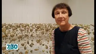 British artist Cornelia Parker talks about her work | 7.30