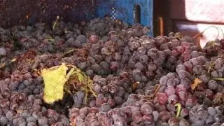 Turkey alcohol laws threaten wine-making industry