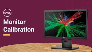 Calibrate Monitor Display Color Windows 11 (Official Dell Tech Support)