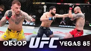 ОБЗОР UFC FN: Роман Долидзе - Нассурдин Имавов | Ренато Мойкано, Дрю Добер, Муслим Салихов