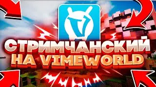 ПЕРВЫЙ СТРИМ С ЮТУБЕРКОЙ на VIMEWORLD [ЗАПИСЬ]