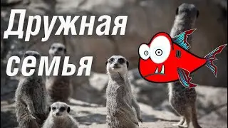 8 Марта! Дружная семья. Весенний утренник подготовительная группа 2022 🎶