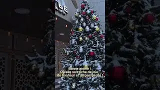 Как поздравить с Новым годом на французском языке?🎄 