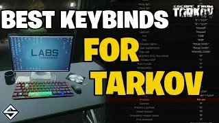 Best Keybinds for Escape From Tarkov