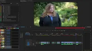 Adding and using markers in Premiere Pro | Quick Tip