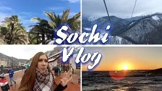 Сочи VLOG | Роза Пик, Черное море и Дендрарий