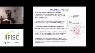 Recurrent Networks of Spiking Neurons: From Biology to Novel Computing Technology - Wolfgang Maass