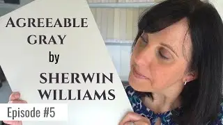 Sherwin Williams Agreeable Gray