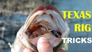 The Best Texas Rig Tips and Tricks - How To | Bass Fishing