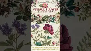 FREE Download! 50 Vintage Flower Illustrations 💐