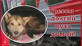 Смотрите, кто уехал домой! Корм - главная тема на сегодня!