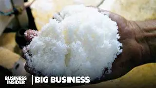 How Brazil Dominates Sugar Production Without Burning Fields | Big Business | Business Insider