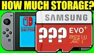 NINTENDO SWITCH STORAGE: How Much Will YOU Need?! #NintendoSwitch