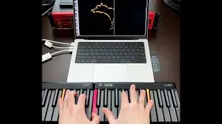 Drawing a Dog With a Piano (Live MIDI Art)