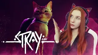 STRAY Прохождение игры про котика