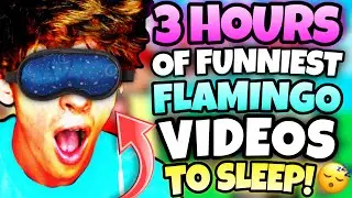 *3 HOURS* OF FLAMINGO TO FALL ASLEEP! (ROBLOX/MARATHON)