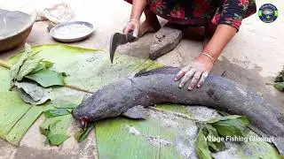 Amazing Fish Cutting Skills | Big Catfish Cutting By Village Woman | Fish Cutting