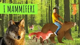 VERTEBRATI #5 - I MAMMIFERI - Le scienze spiegate ai bambini di scuola primaria.