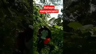 Bahaya mengancam! 