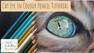 How to Draw a Cat Eye using Colored Pencils on Pastelmat