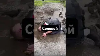 СОЛЬ ПОСТАВИЛА НА КОЛЕНИ #соль #альфапвп #альфа #солевойнаркоман #соляра