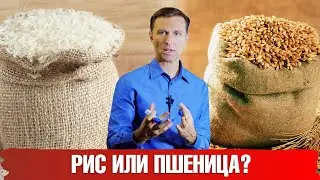 Рис или пшеничная мука: что полезнее для здоровья? Рис и мука – польза или вред.