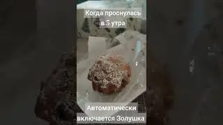 Когда проснулась в 5 утра. Укусила Золушка. Жаркое из свинины с овощами, булгур и кофе с утра