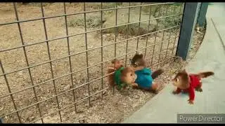 Alvin and the Chipmunks The Squeakquel scene