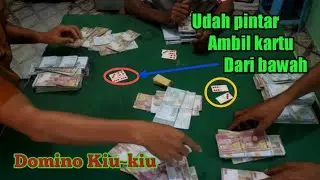 Domino Kiu Kiu || udah pintar main kartu bawah @Putaran Judi